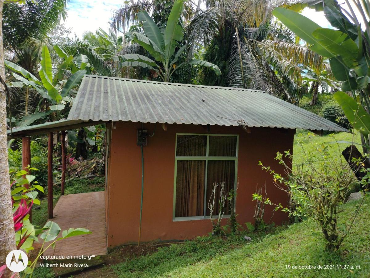 Hotel Mirador Osa Mogos Exterior foto